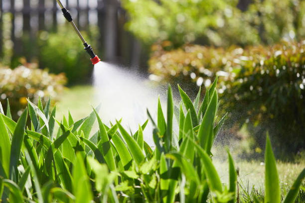 24/7 Emergency Termite Control experts in Breckenridge, CO